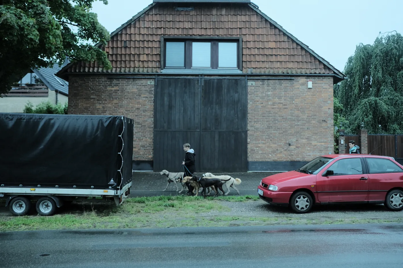Eileen Föge beim Gassi gehen an der Strasse