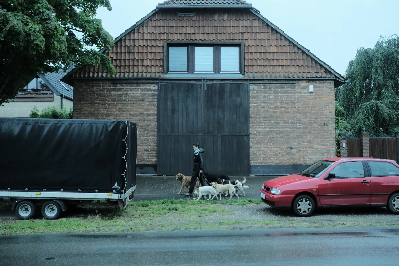 Ela Zimmermann beim Gassi gehen an der Strasse